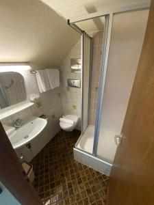 a bathroom with a shower and a toilet and a sink at Altes Tor in Filsen