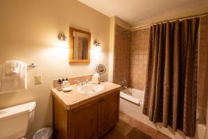 W łazience znajduje się umywalka, toaleta i prysznic. w obiekcie The Lodge at Mountaineer Square w mieście Mount Crested Butte