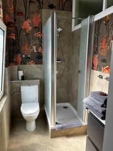a bathroom with a shower and a toilet in it at Traumhafter Altbaucharme in zentraler Lage in Kiel