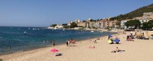 un groupe de personnes sur une plage près de l'eau dans l'établissement STUDIO COURS GENERAL LECLERC, à Ajaccio