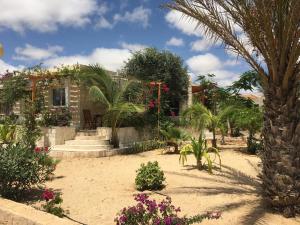 una casa en la playa con plantas y flores en Beach Villa am Praia de Chaves, Boa Vista, Cabo Verde, en Boa Ventura