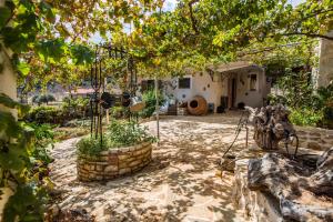 a house with a yard with a courtyard with plants at Pontinos Villa in Míloi