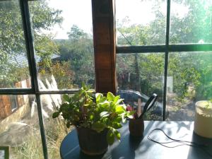 une fenêtre avec une table et une plante sur elle dans l'établissement Hostel Alfa, à San Marcos Sierras
