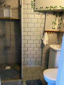 a bathroom with a shower and a toilet and a sink at Zielony Domek nad Biebrzą 