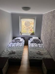 2 Betten in einem Zimmer mit Fenster in der Unterkunft Zielony Domek nad Biebrzą 