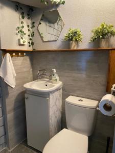 a bathroom with a white toilet and a sink at Zielony Domek nad Biebrzą 