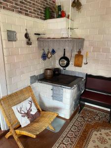 a kitchen with a stove and a chair in a room at Zielony Domek nad Biebrzą 