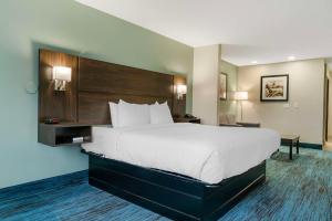 een hotelkamer met een groot bed en een bureau bij Best Western Clare Hotel in Clare