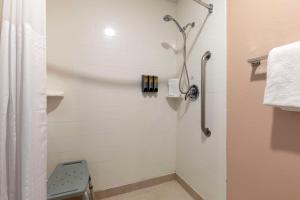 Baðherbergi á Best Western Plus Fort Worth North