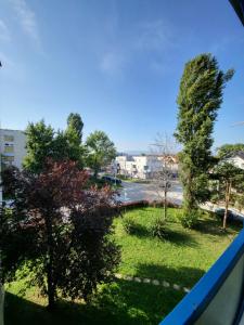a view from a window of a park with trees at Dolly Apartment Airport in Velika Gorica