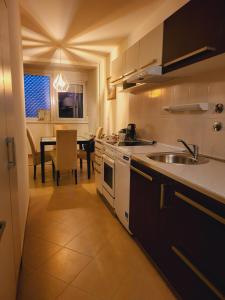 - une cuisine avec un évier et une table dans l'établissement Dolly Apartment Airport, à Velika Gorica