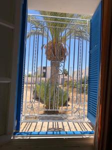 una finestra con un cancello con una palma di Une maison djerbienne a Houmt Souk