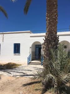 a palm tree in front of a white building at Une maison djerbienne in Houmt Souk