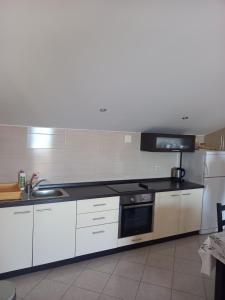 Kuchnia lub aneks kuchenny w obiekcie Apartments by the sea Tkon, Pasman - 5840