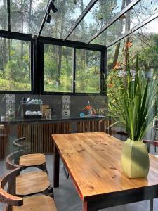 una mesa con una planta en una habitación con ventanas en Sausau Garden, a pefect retreat for relaxing, close to Noi Bai airport, en Sóc Sơn