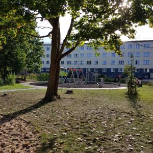 un parc avec un arbre et une aire de jeux dans l'établissement The entire comfortable apartment, à Rakvere