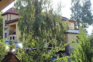un grand arbre devant un bâtiment dans l'établissement Noclegi NADZAMCZE, à Czorsztyn