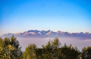 einen Blick auf eine neblige Bergkette mit Bergen im Hintergrund in der Unterkunft Noclegi NADZAMCZE in Czorsztyn