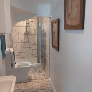 a bathroom with a toilet and a shower at Hideaway Cottage - Private ensuite room - 4 minutes to the sea! in Sandgate