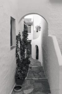 a hallway of a white building with some plants at Rosys Little Village in Skala