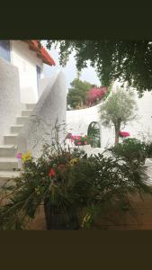 a bunch of flowers in a pot in front of a building at Rosys Little Village in Skala