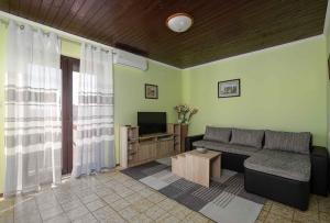 un soggiorno con divano e TV di Apartment in Kastelir-Labinci - Istrien 44213 a Sveta Nedelja od Vižinada