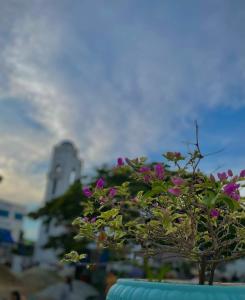 Fotografie z fotogalerie ubytování El santorini colombiano cabaña v destinaci Puerto Triunfo