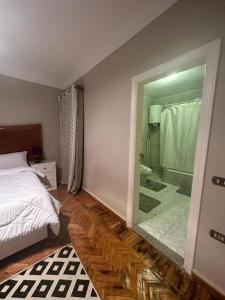 - une chambre avec un lit et une douche en verre dans l'établissement رواد الزمالك 2 إطلالة ع النيل و الابراج, au Caire