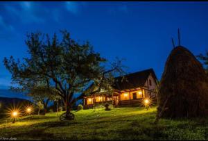 聖喬治–伯伊的住宿－Casa de hodina Maria，前面有树和灯的房子