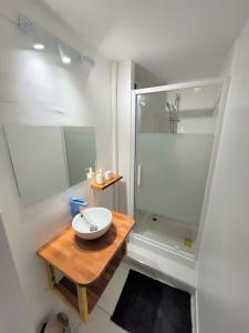 La salle de bains est pourvue d'un lavabo et d'une douche. dans l'établissement KAZANVIL, à Saint-Denis
