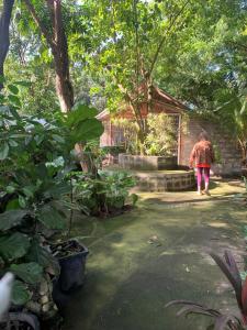Zahrada ubytování D Sanctum Resort