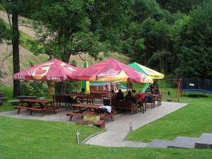 Zahrada ubytování Pension & restaurace Zelený Mlýn Žacléř