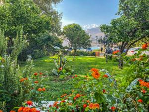 un jardín con flores naranjas en la hierba en Mealos Apartments, en Skiros