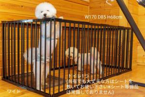 dois cães brancos numa gaiola num quarto em Ittoukashi no resort log house Piilo - Vacation STAY 36167v em Takashima