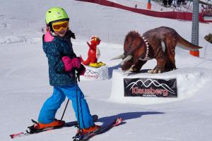 Skiing at Az apartmant or nearby