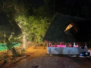 黎明之村Nebula Nest Cafe & Hostel的相册照片