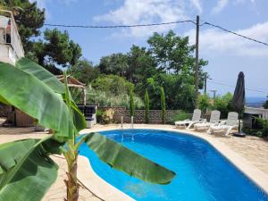 uma piscina com uma palmeira em frente a uma casa em Casa Feliç (10-12 personen) em Lloret de Mar