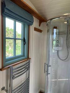 a bathroom with a shower and a window at Toms Hut and Robins Rest Shepherd Huts near Wadebridge in Wadebridge