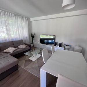 uma sala de estar com um sofá e uma televisão em VILLA LIDO - Lake Como em Colico