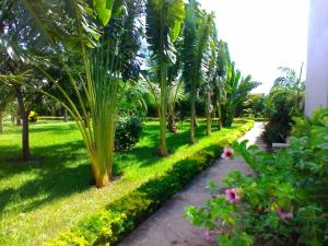 un jardín con palmeras y una pasarela en Galu Gardens Diani Beach ,Coastal Apartments by Nest & Nomad en Kwale