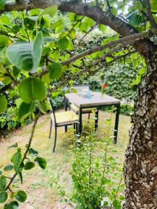 a picnic table and a bench in a garden at Champagne in Waimes