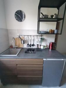 una cucina con lavandino e piano di lavoro di Motyl Apartamenty Studio a Bytom