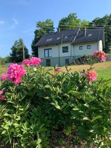 una casa con flores rosas delante de ella en Małe Ziółko en Sosnówka