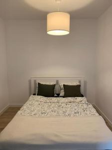 ein Bett mit zwei Kissen und einer Lampe darüber in der Unterkunft Małe Ziółko in Sosnowka