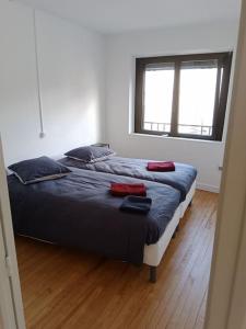 een slaapkamer met twee bedden en een raam bij La petite suisse 2 in Jezainville