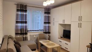 a living room with a couch and a tv at Apartament Alek Krosno in Krosno