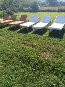 una fila de bancos sentados en un campo de hierba en Sadyba u Vani, en Volovets