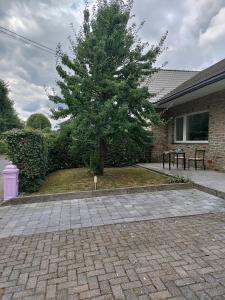 Ein Baum im Hof eines Hauses in der Unterkunft Champagne in Weismes