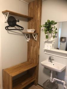 y baño con lavabo y espejo. en Klausturhof Guesthouse en Kirkjubæjarklaustur