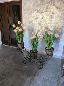 Photo de la galerie de l'établissement Sabrina, à Suceviţa 25 autres photos